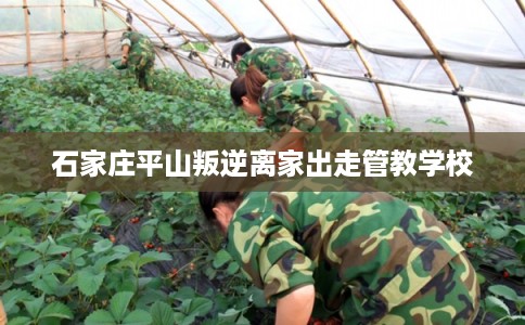 石家庄平山叛逆离家出走管教学校 石家庄平山叛逆离家出走管教学校