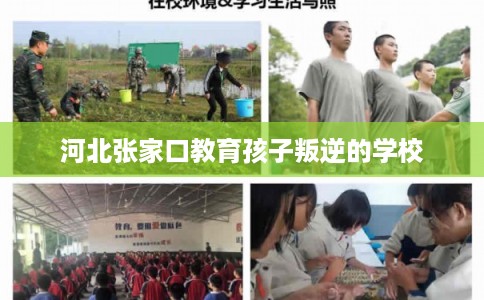 河北张家口教育孩子叛逆的学校