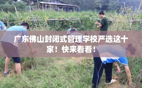 广东佛山封闭式管理学校严选这十家！快来看看！