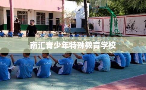 南汇青少年特殊教育学校 南汇青少年特殊教育学校