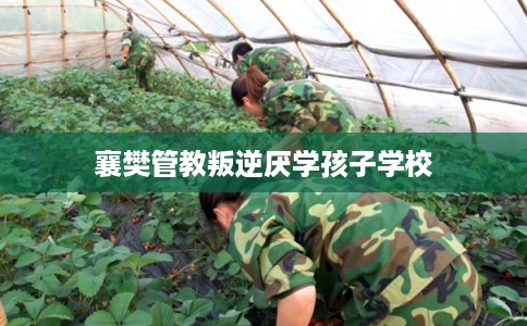 襄樊管教叛逆厌学孩子学校