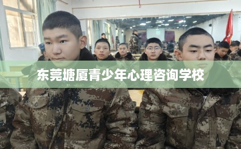 东莞塘厦青少年心理咨询学校