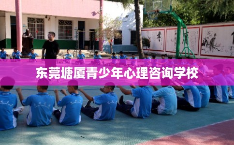 东莞塘厦青少年心理咨询学校
