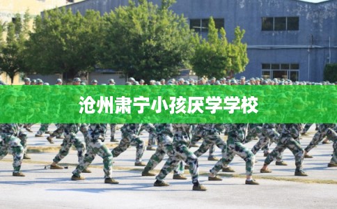 沧州肃宁小孩厌学学校 沧州肃宁小孩厌学学校