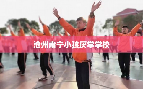 沧州肃宁小孩厌学学校