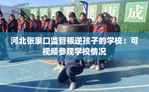 河北张家口监管叛逆孩子的学校：可视频参观学校情况
