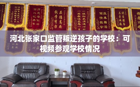 河北张家口监管叛逆孩子的学校：可视频参观学校情况