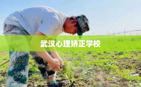 武汉心理矫正学校