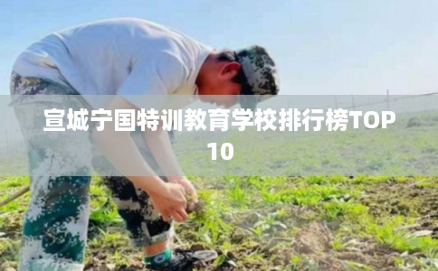 宣城宁国特训教育学校排行榜TOP10