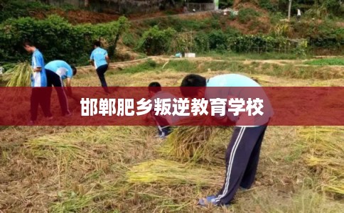邯郸肥乡叛逆教育学校