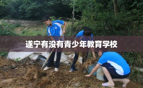 遂宁有没有青少年教育学校