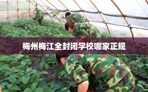 梅州梅江全封闭学校哪家正规