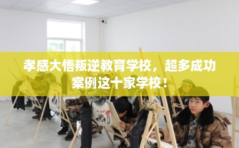 孝感大悟叛逆教育学校,超多成功案例这十家学校! 孝感大悟叛逆教育学校,超多成功案例这十家学校!