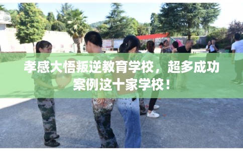 孝感大悟叛逆教育学校,超多成功案例这十家学校! 孝感大悟叛逆教育学校,超多成功案例这十家学校!
