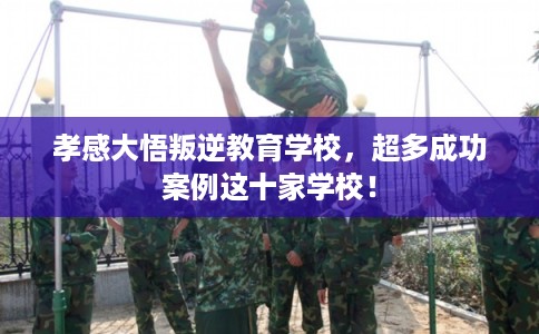 孝感大悟叛逆教育学校，超多成功案例这十家学校！