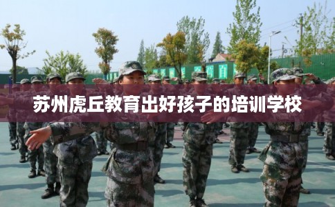 苏州虎丘教育出好孩子的培训学校