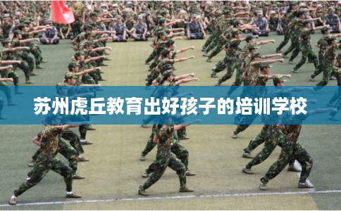 苏州虎丘教育出好孩子的培训学校