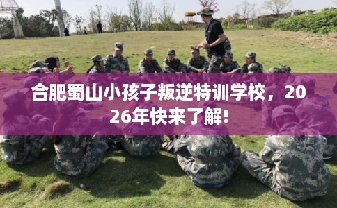合肥蜀山小孩子叛逆特训学校，2026年快来了解!