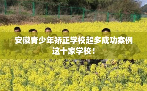 安徽青少年矫正学校超多成功案例这十家学校! 安徽青少年矫正学校超多成功案例这十家学校!