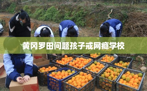 黄冈罗田问题孩子戒网瘾学校