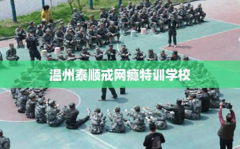 温州泰顺戒网瘾特训学校