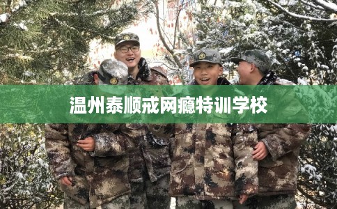 温州泰顺戒网瘾特训学校