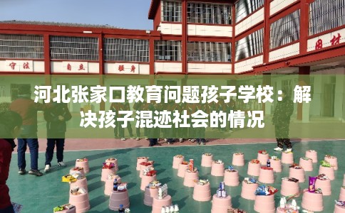 河北张家口教育问题孩子学校：解决孩子混迹社会的情况