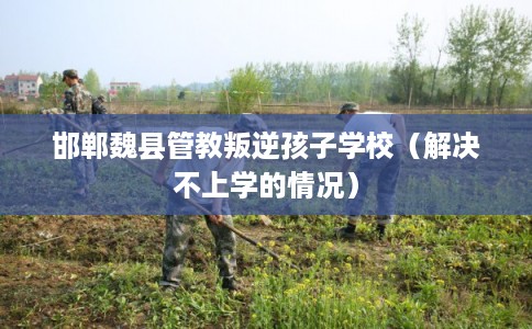 邯郸魏县管教叛逆孩子学校（解决不上学的情况）