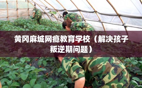 黄冈麻城网瘾教育学校（解决孩子叛逆期问题）