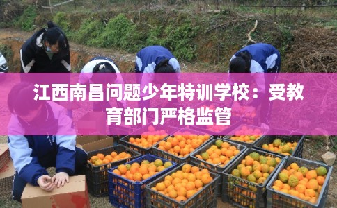 江西南昌问题少年特训学校：受教育部门严格监管