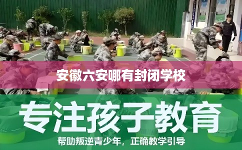 安徽六安哪有封闭学校