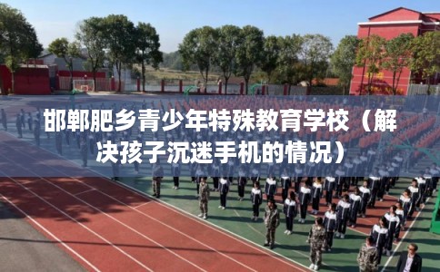 邯郸肥乡青少年特殊教育学校（解决孩子沉迷手机的情况）