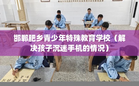 邯郸肥乡青少年特殊教育学校（解决孩子沉迷手机的情况）