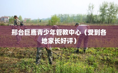 邢台巨鹿青少年管教中心（受到各地家长好评）