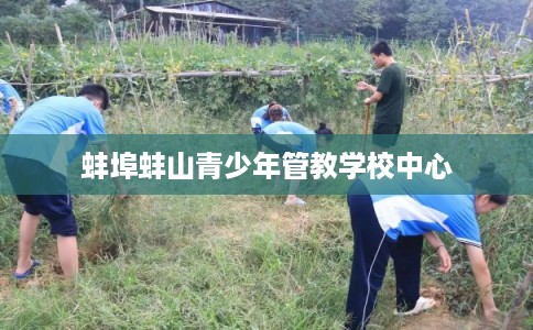 蚌埠蚌山青少年管教学校中心