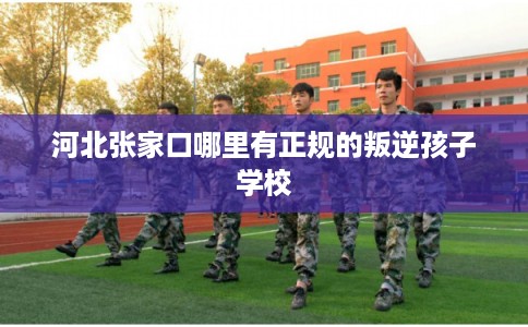 河北张家口哪里有正规的叛逆孩子学校