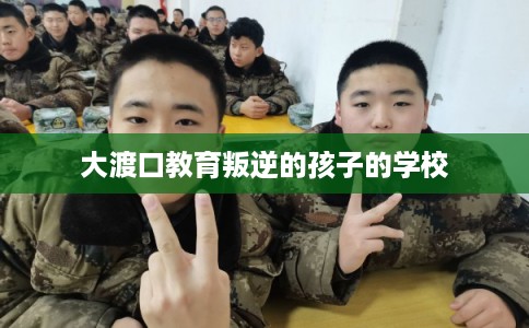 大渡口教育叛逆的孩子的学校