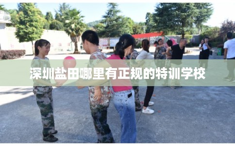 深圳盐田哪里有正规的特训学校