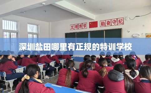 深圳盐田哪里有正规的特训学校