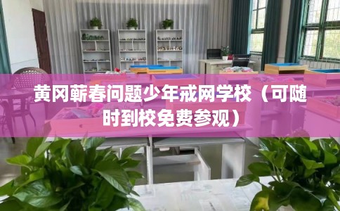 黄冈蕲春问题少年戒网学校（可随时到校免费参观）