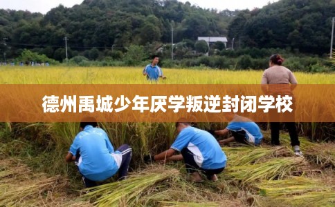 德州禹城少年厌学叛逆封闭学校