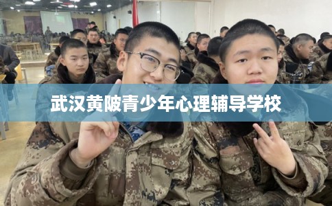 武汉黄陂青少年心理辅导学校