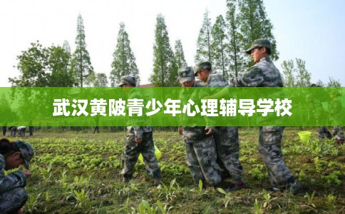 武汉黄陂青少年心理辅导学校