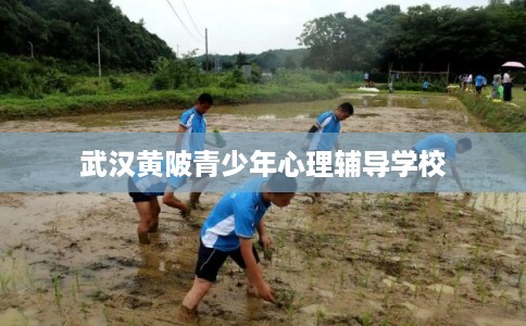 武汉黄陂青少年心理辅导学校