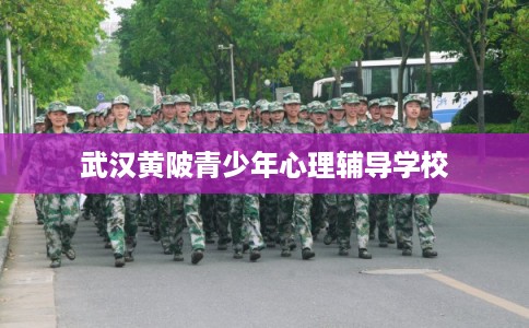 武汉黄陂青少年心理辅导学校