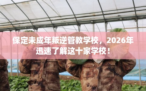 保定未成年叛逆管教学校，2026年迅速了解这十家学校！