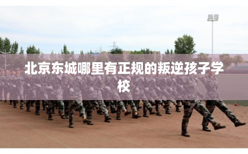 北京东城哪里有正规的叛逆孩子学校 北京东城哪里有正规的叛逆孩子学校