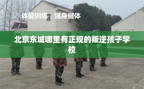 北京东城哪里有正规的叛逆孩子学校