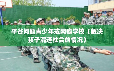 平谷问题青少年戒网瘾学校（解决孩子混迹社会的情况）
