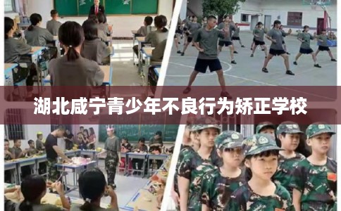 湖北咸宁青少年不良行为矫正学校